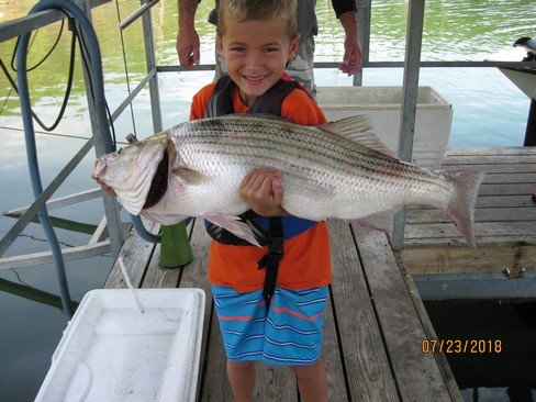 Nice Striped Bass